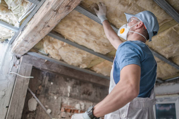 Best Insulation Installation Services in Winfield, IA