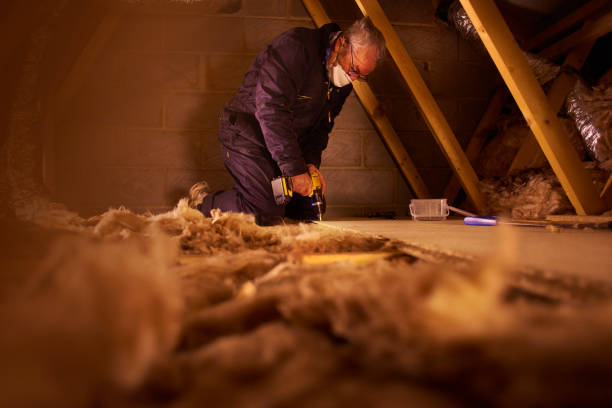 Best Insulation Installation Services in Winfield, IA